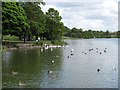 Hogganfield Loch