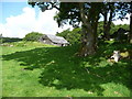 Old stone barn