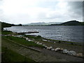 Part of Lake Bala / Llyn Tegid near Llangower  in June