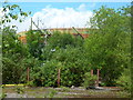 Disused Gas Holder