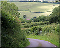 2011 : Duncart Lane, heading to Croscombe