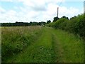 Manswood, bridleway