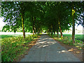 Private road to Cherry Orchard Farm