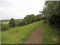 Footpath on Cleeve Hill