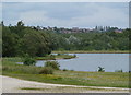 By the northern lake in Rother Valley Country Park