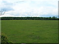 Farmland off Pottery Lane