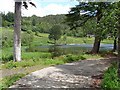 Western end of Tumbleton Lake