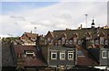 Backs of houses, and schools, near Clapham Junction