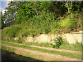 Former line to goods yard, Wandsworth Common, from the train