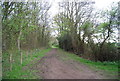 Greensand Way, Hothfield Heathlands