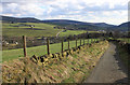 Ridge Lane, Diggle