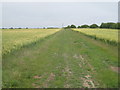 The footpath to Grimoldby