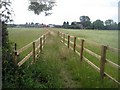 Fenced path, Smalley Bight farm (4)