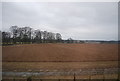 Farmland, Peelwalls Farm