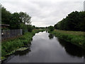 River Witham at Bracebridge