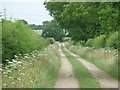 SK8965 : Clay Lane Track, near Thorpe On The Hill by Julian P Guffogg