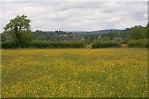 SK2267 : Buttercup Meadow by Mick Garratt