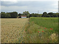 Looking towards Hyde Chase