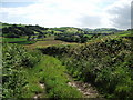 View towards Llanfihangel-uwch-Gwili