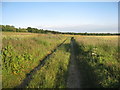 The Viking Way near Audleby