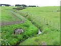 Burn running to the Blackbog Glen