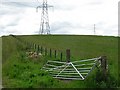 Grassland off Muttonhole Lane