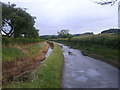 Lane and drain at Bodenham, looking west