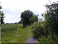 TM2661 : Footpath to Mutton Lane by Geographer