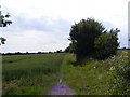 TM2661 : Footpath to Mutton Lane by Geographer