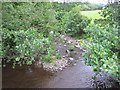 River Triffrwd near Felin-newydd