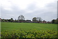 Rugby Pitch, Cranbrook School