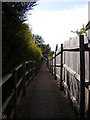 Footpath to Kettleburgh Village Green