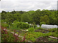 Free Lane Allotments, Helmshore