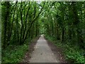 Pinesprings, railway trackbed