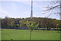 Croydon Transmitter and South Norwood Grounds