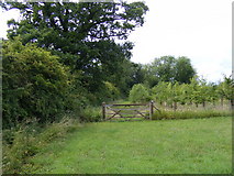 TG0424 : Restricted Byway at Keeling Hall by Geographer