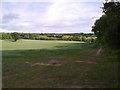 Looking North from near Horseshoe Plantation