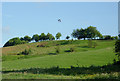 Hillside pasture near Cheddleton, Staffordshire