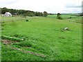 NS9945 : A grass field near Spittal by Richard Webb