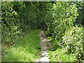 Footpath 2423 heads south from West Chiltington village