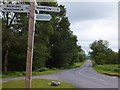 Road on Roborough Down