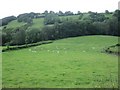 Pasture land above Sgithwen Brook