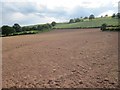 Ploughed field west of Trefecca