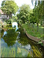 The Great Stour, viewed from the bridge on The Friars