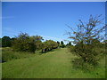 Footpath towards Coldblow