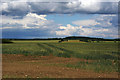 TL4124 : Field of wheat, near Braughing Friars by Jim Osley