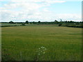 Farmland near Beal