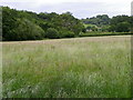 Grass field off Woodville Lane