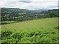 Pasture land above the Usk, looking towards Glanusk