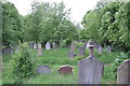 Overgrown - Brockley Cemetery